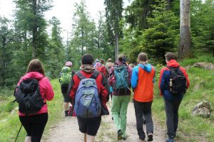 Into the wildest wild 2017