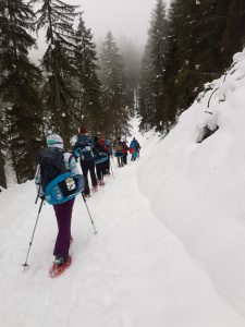 Back to the roots 2020