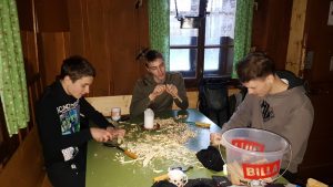 Back to the roots 2020