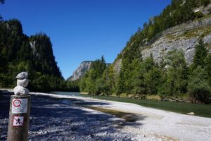 Into the wild_2021_004