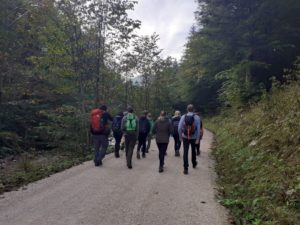 Into the wild 5.0