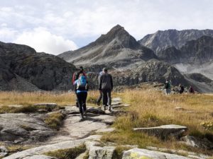 Into the wild 8.0_2022_002