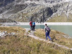 Into the wild 8.0_2022_003