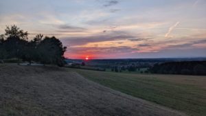 Summervibes_002