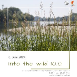 Into the wild 10.0