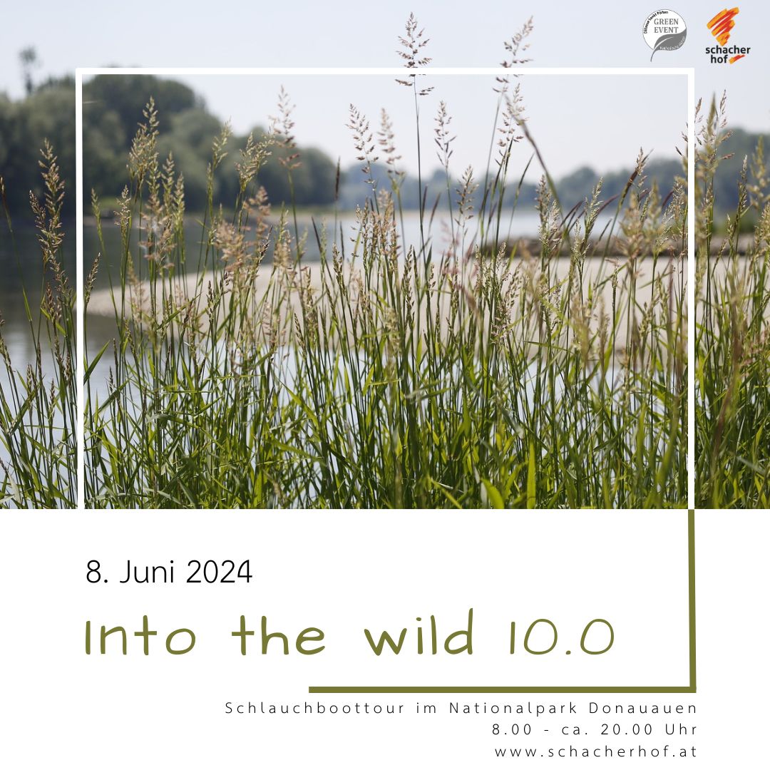 Into the wild 10.0
