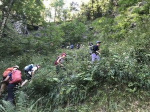 Ab durch die Hecke