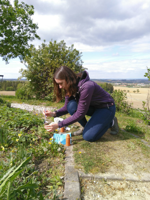 Sonntag mit Freunden