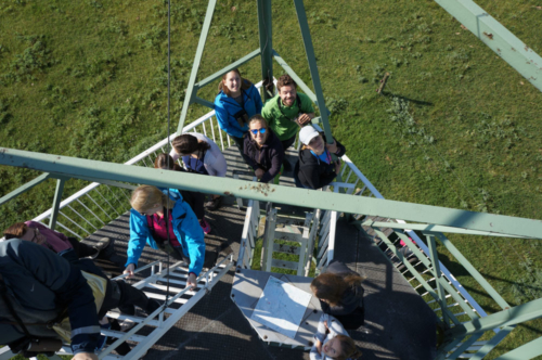 Into the flying wild 2018