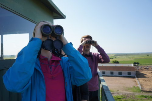 Into the flying wild 2018