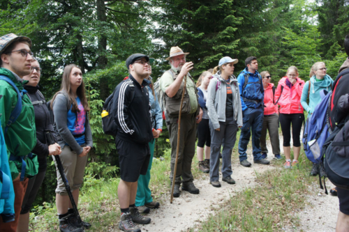 Into the wildest wild 2017