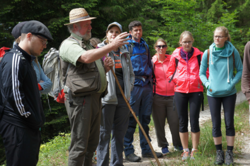 Into the wildest wild 2017