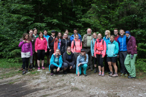 Into the wildest wild 2017