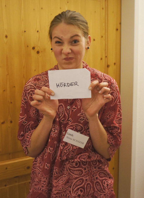 Kriminelles Rollenspiel 2017