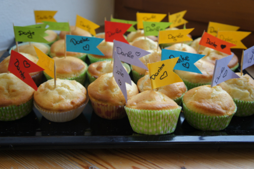 SONY DSC 72h ohne Kompromiss 2014