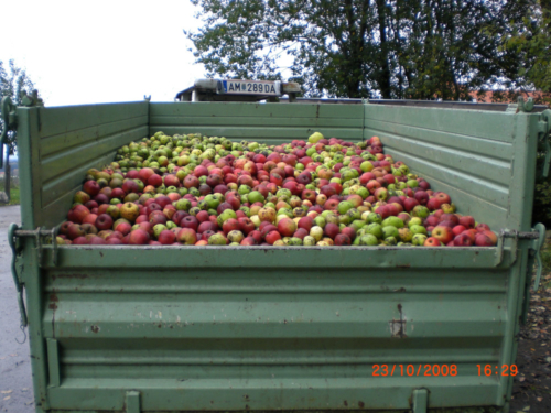 72h ohne Kompromiss 2008