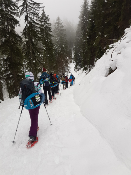 Back to the roots 2020