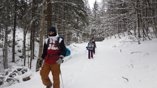 Back to the roots 2020