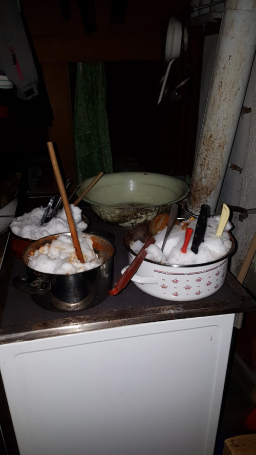 Back to the roots 2020