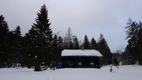 Back to the roots 2020