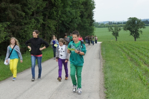 SONY DSC Firmtag 2012