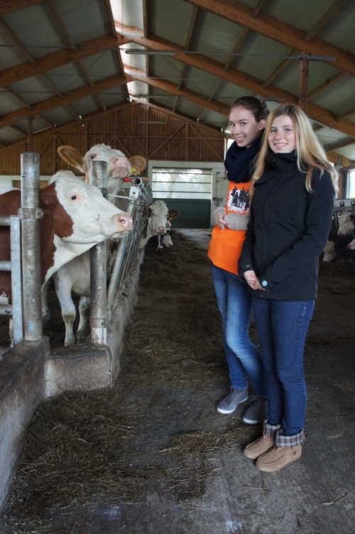 SONY DSC 72h ohne Kompromiss 2012