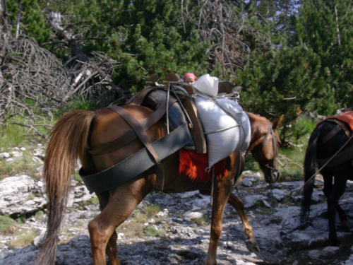 Expedition Olymp 2004