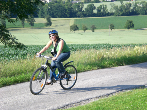 Schachertreff radlkino 2008