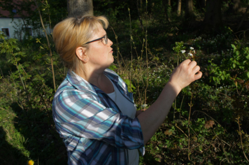 SONY DSC Kräuterwanderung 2014