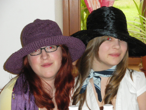 kriminelles Planspiel 2010