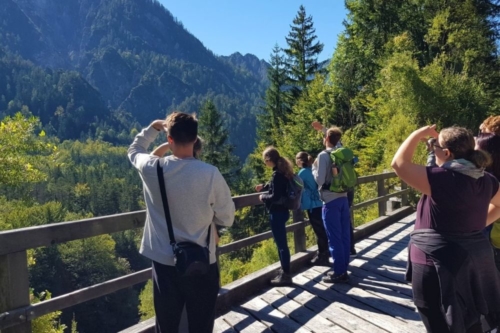 Into the wild_2021_002