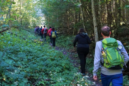 Into the wild_2021_005