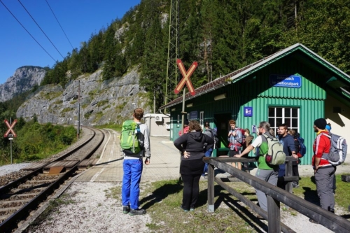 Into the wild_2021_006