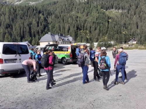 Into the wild 8.0_2022_001