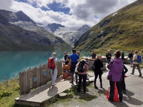 Into the wild 8.0_2022_007