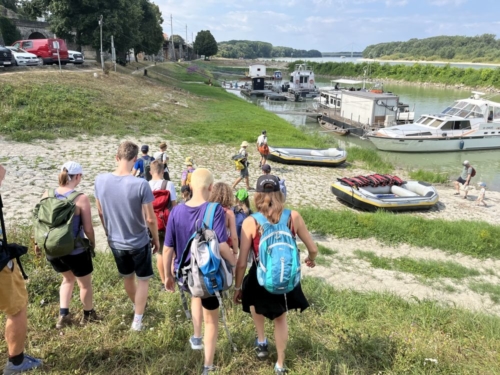 Into the wild 10.0 2024_0002