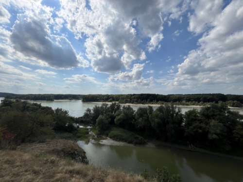 Into the wild 10.0 2024_0014